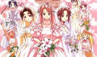 多情房客俏房东林琪扮演者是谁 我的美女俏房客